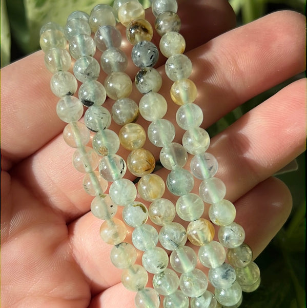 Prehnite Bracelet (6mm)