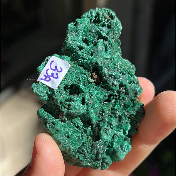 Fibrosis Malachite