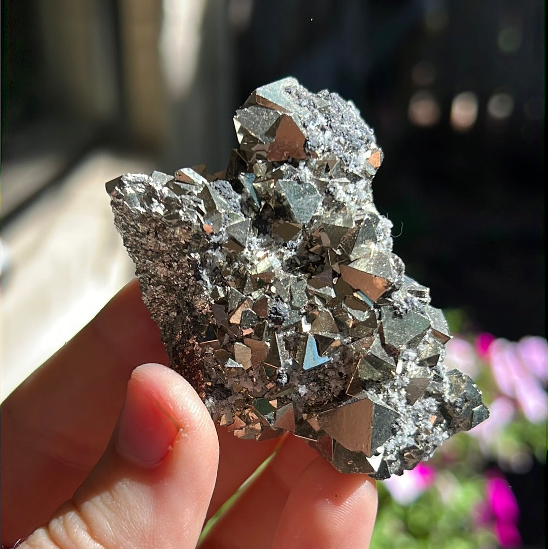 Octahedral Pyrite