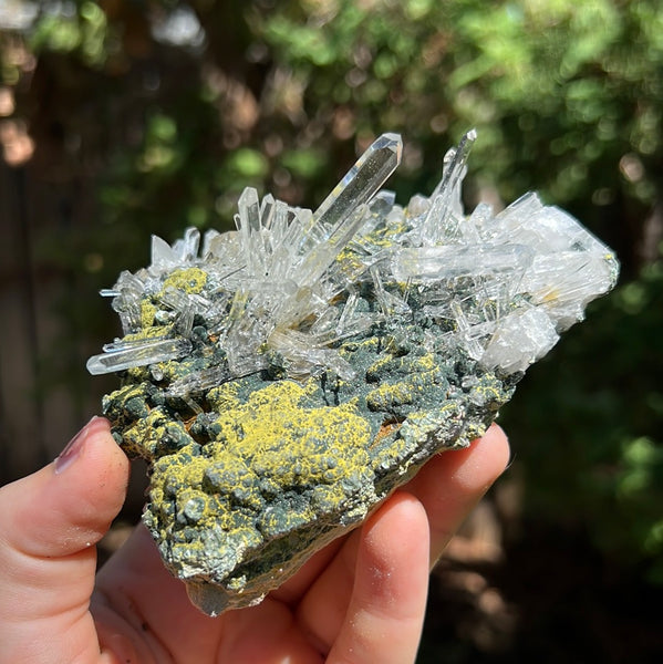 Lemurian Quartz Cluster