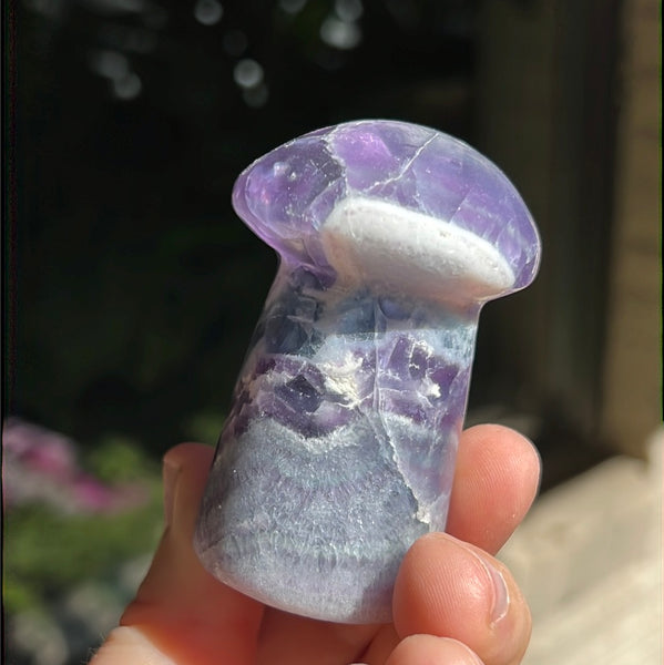 Mexican Fluorite Mushrooms (taller)