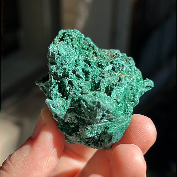 Fibrosis Malachite