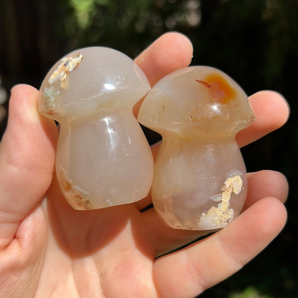 Flower Agate Mushrooms