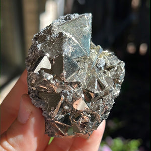 Octahedral Pyrite