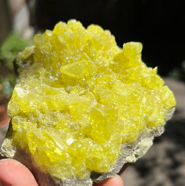 Sulfur Cluster