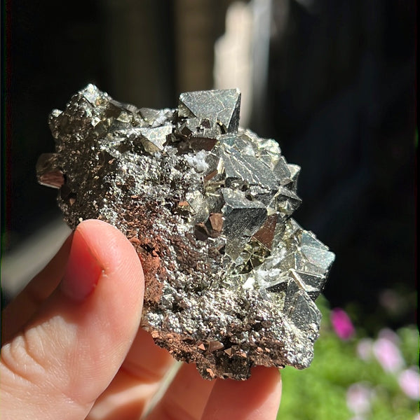 Octahedral Pyrite