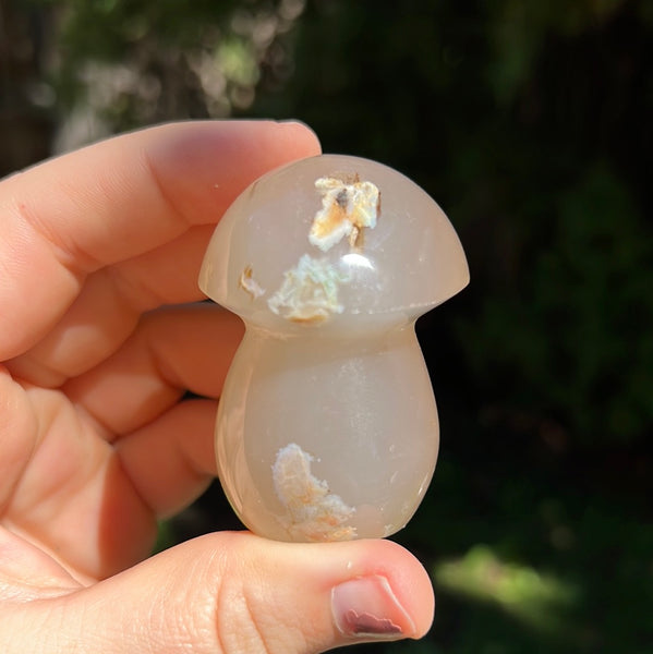 Flower Agate Mushrooms