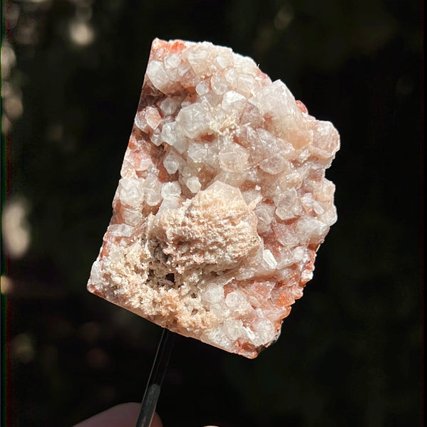 Red Apophyllite on Pin