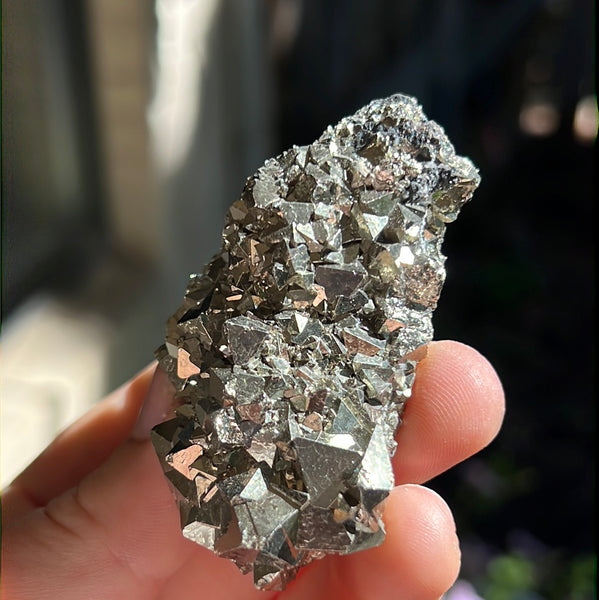 Octahedral Pyrite