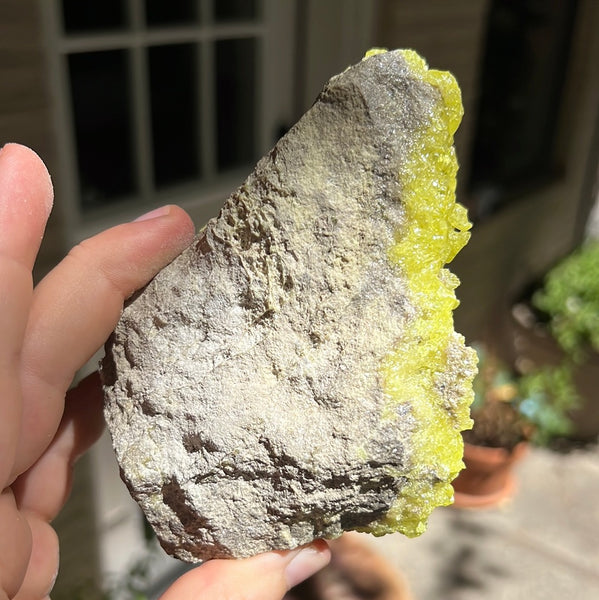 Sulfur Cluster