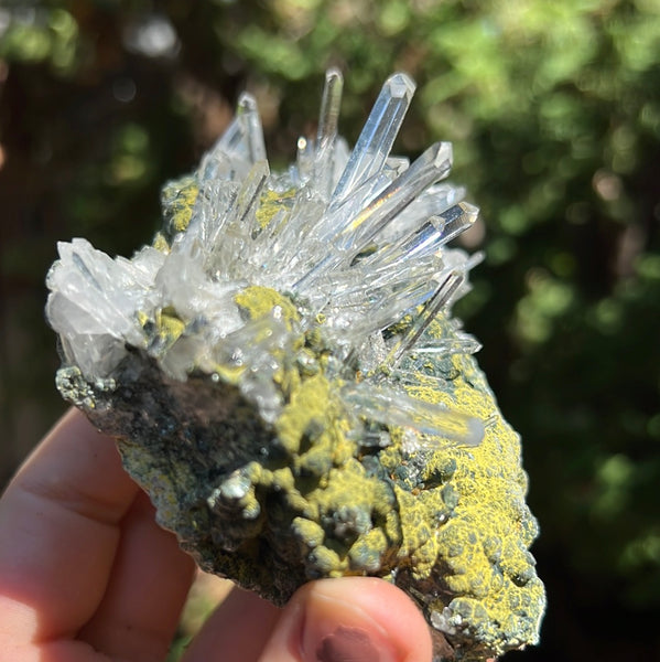 Lemurian Quartz Cluster