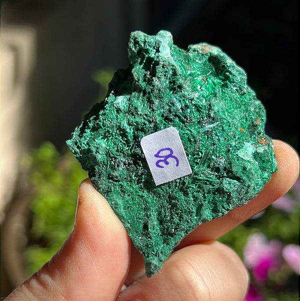 Fibrosis Malachite