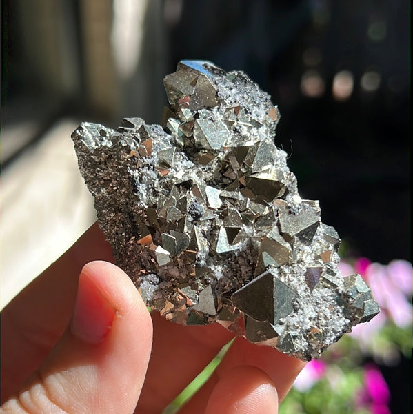 Octahedral Pyrite