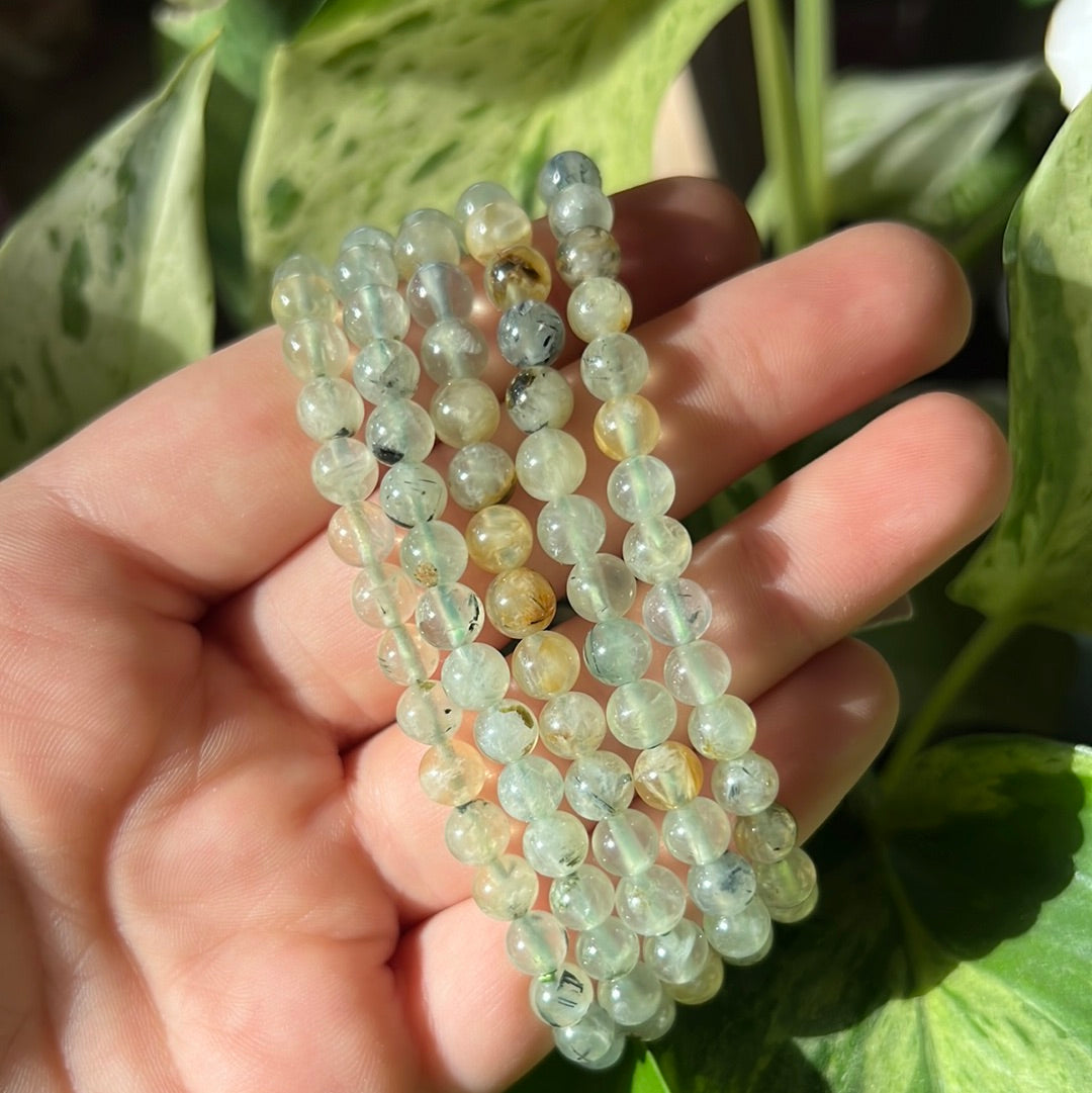 Prehnite Bracelet (6mm)