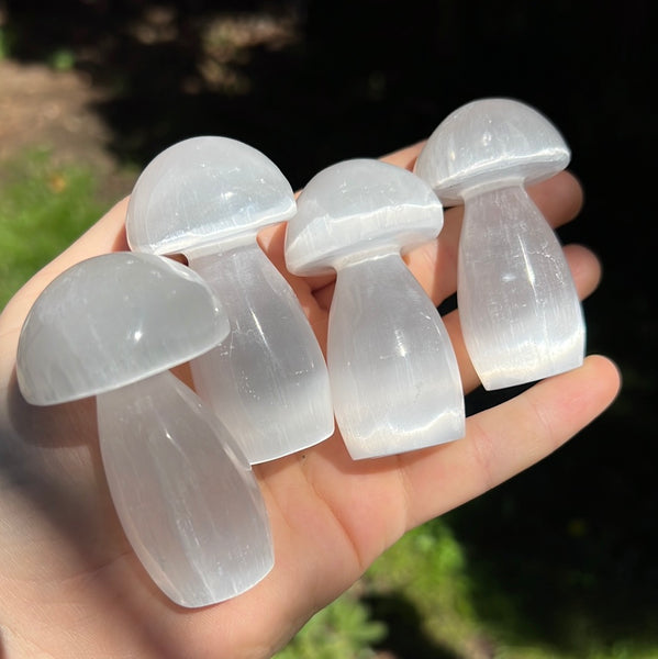 Selenite/Satin Spar Mushroom