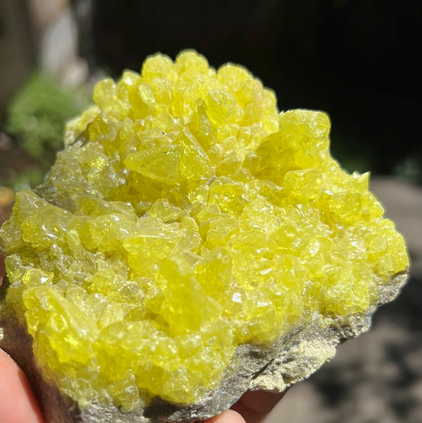 Sulfur Cluster