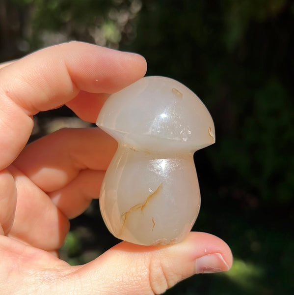 Flower Agate Mushrooms