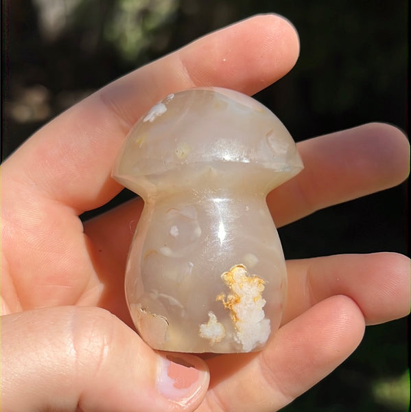 Flower Agate Mushrooms