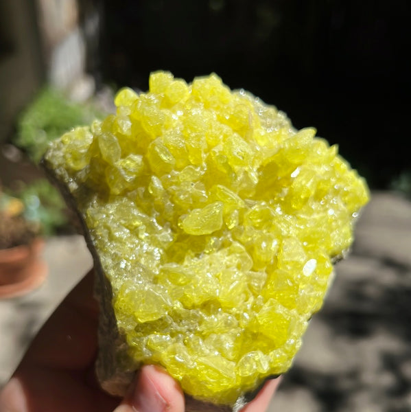 Sulfur Cluster