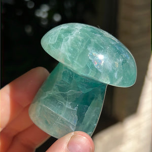 Mexican Fluorite Mushrooms