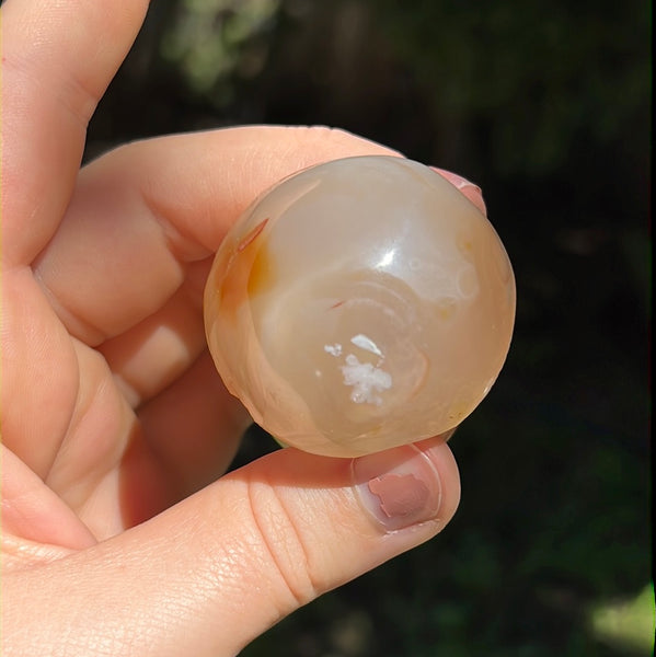 Flower Agate Mushrooms