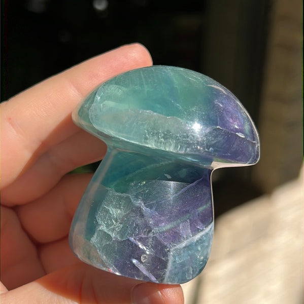 Mexican Fluorite Mushrooms