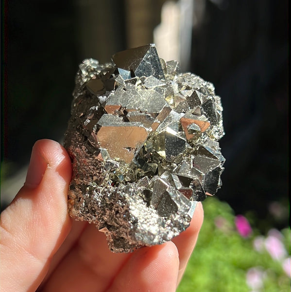 Octahedral Pyrite