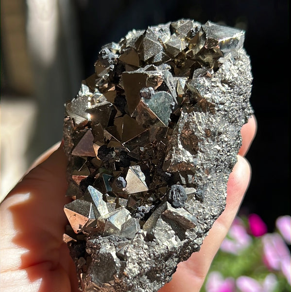 Octahedral Pyrite