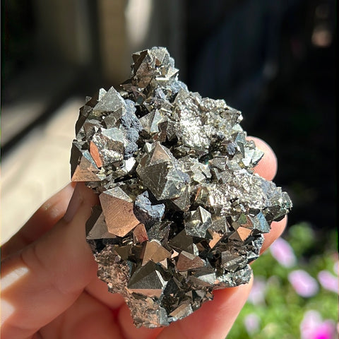 Octahedral Pyrite