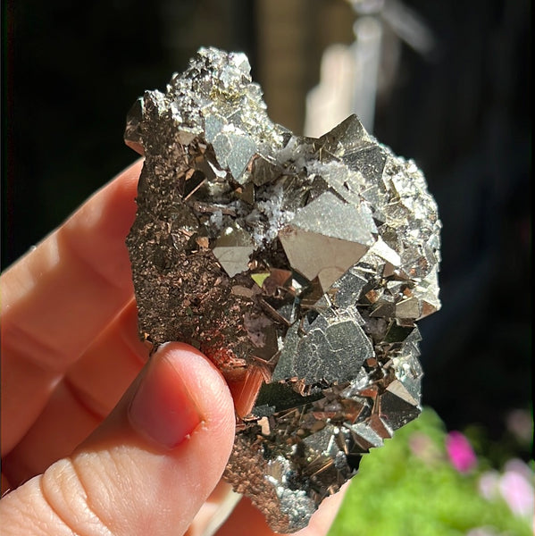 Octahedral Pyrite