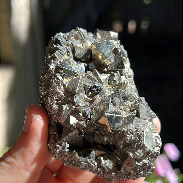 Octahedral Pyrite