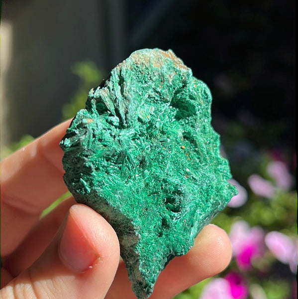 Fibrosis Malachite