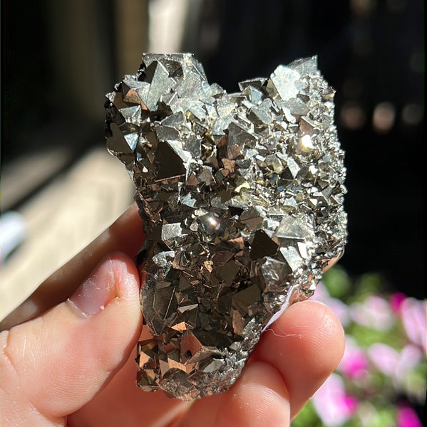 Octahedral Pyrite