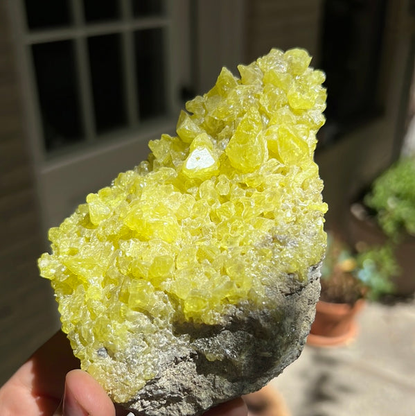 Sulfur Cluster