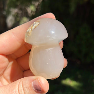 Flower Agate Mushrooms