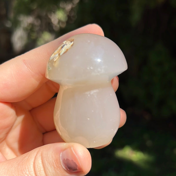 Flower Agate Mushrooms