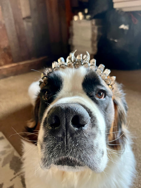 Aura Quartz Crowns