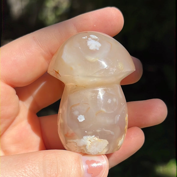 Flower Agate Mushrooms