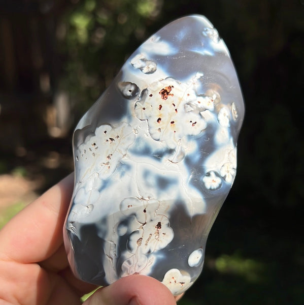 Orca Agate Flame