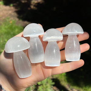 Selenite/Satin Spar Mushroom