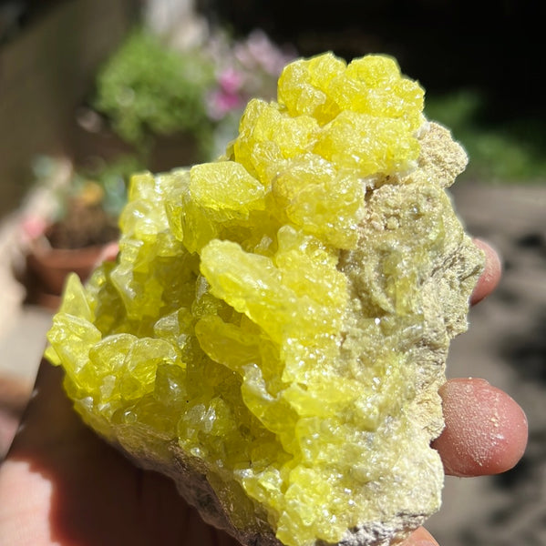 Sulfur Cluster