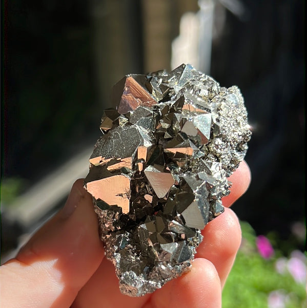 Octahedral Pyrite