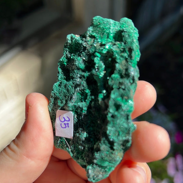 Fibrosis Malachite