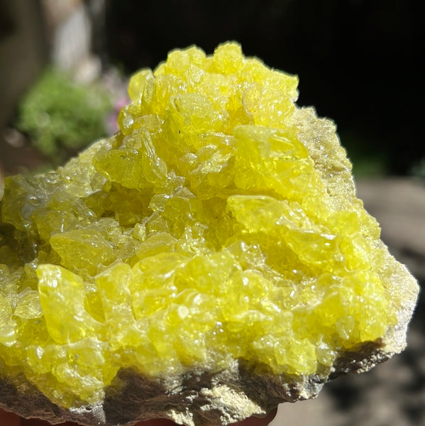 Sulfur Cluster