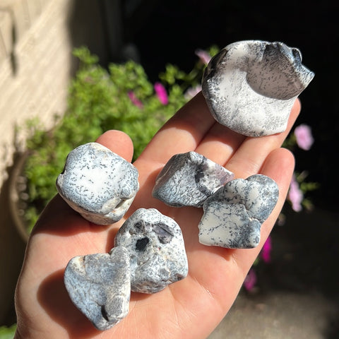 Dendritic Opal Chunks