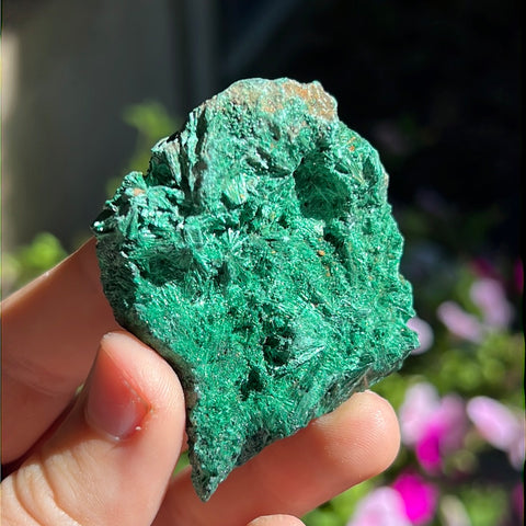 Fibrosis Malachite