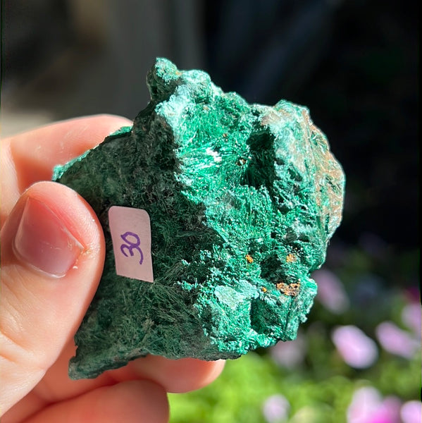 Fibrosis Malachite