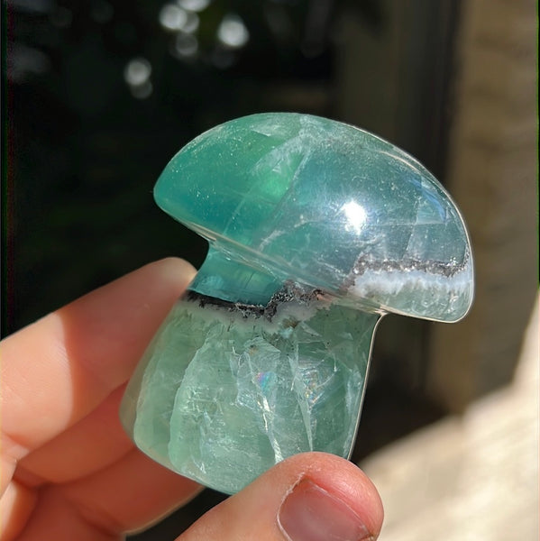 Mexican Fluorite Mushrooms