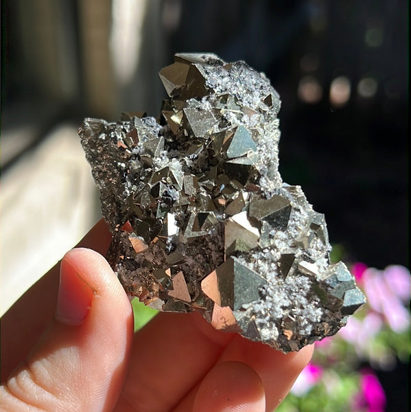 Octahedral Pyrite