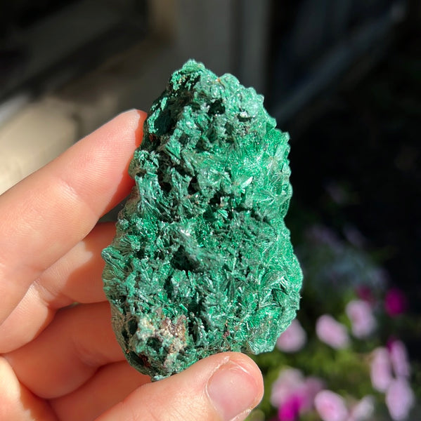 Fibrosis Malachite